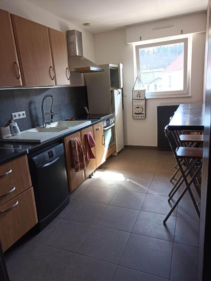 Appartement Gauche Avec Balcon Hargarten-aux-Mines 외부 사진